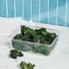 14 Cup Plastic Rectangle Food Storage Container Clear - Figmint™